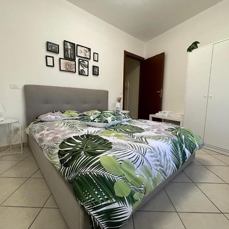 Castelli Home - Castelli Apartments Albano Laziale Ngoại thất bức ảnh